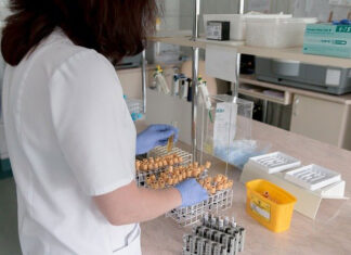 Jak wyglądają badania hormonalne dla kobiet i mężczyzn? badania hormonalne dla kobiet i mężczyzn