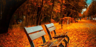 Jakie suplementy diety warto stosować jesienią