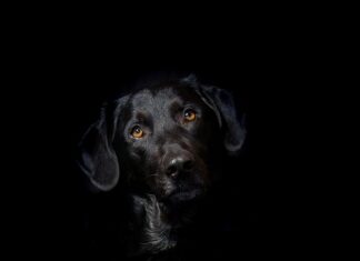 Jak usunąć rysy z hybrydy? Jak usunąć rysy z hybrydy?