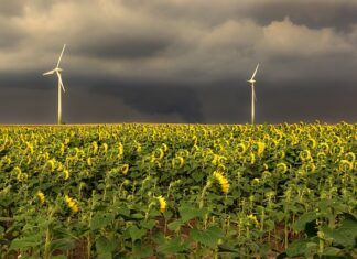 W jakiej kolejności używać kosmetyków do twarzy?