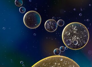 Jak używać oleju kokosowego na włosy? Jak używać oleju kokosowego na włosy?