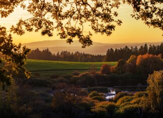 Jak się opalać z przyspieszaczem?