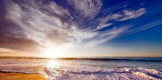 Jak używać pianki do włosów Venita?