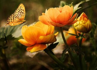 Jak się myje twarz?