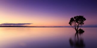 Jak odróżnić wodę toaletową od perfum?