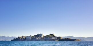 Co wpływa na gęstość zarostu?