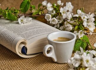 Co jest zabronione w Egipcie?