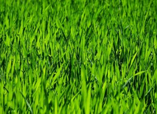 Co kupić w Rossmanie pielęgnacja? Co kupić w Rossmanie pielęgnacja?