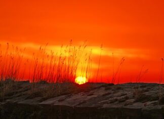 Jak odzyskać czerwień wargową? Jak odzyskać czerwień wargową?