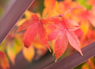 Co się stanie jak nie zmyję makijażu na noc? Co się stanie jak nie zmyję makijażu na noc?